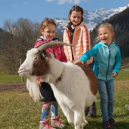 Farm stay Foidlhof *