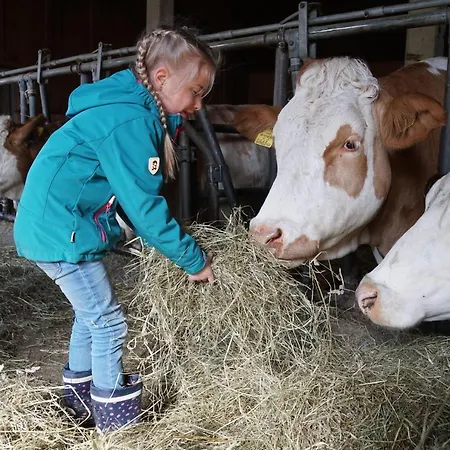 Foidlhof Farm stay