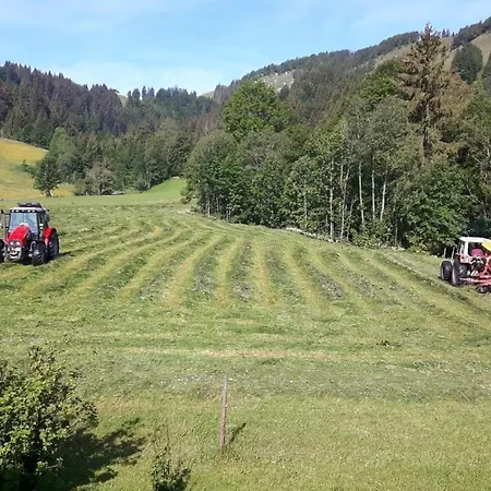 Foidlhof Farm stay Hochfilzen